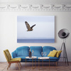 Canvas Print Animals Owl 40x30 cm