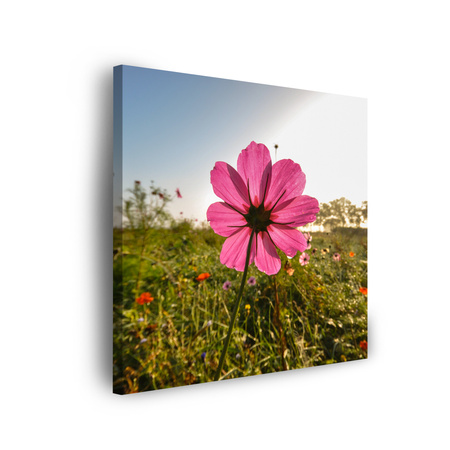 Canvas Print Botanical Pink Flower 40x40 cm