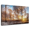 Canvas Print Trees Winter Rising Sun 80x50 cm