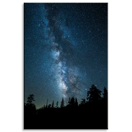 Canvas Print Space Night Forest Nebula 80x120