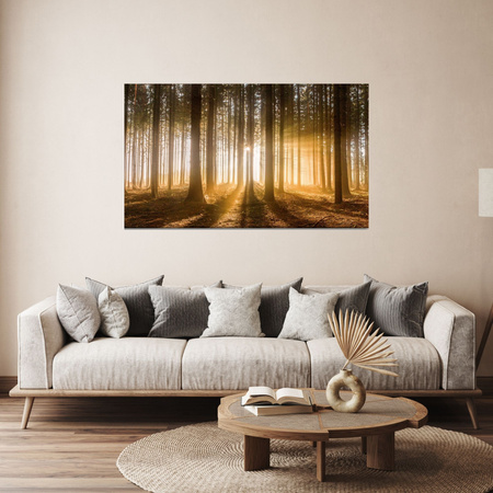 Canvas Print Sun in the Forest Light Tree 120x60 cm