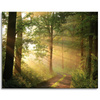 Canvas Print Sunlight Forest Path Nature 100x80 cm