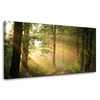 Canvas Print Sunlight Forest Path Nature 80x40 cm