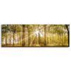 Canvas Print Sun Between Trees in the Forest 120x40 cm