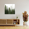 Canvas Print Rain Forest Nature Trees 60X60 cm