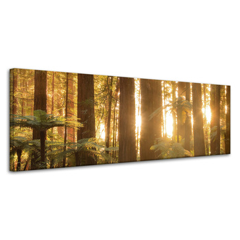 Canvas Print Sun Rays Forest Trees 120x40 cm
