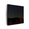 Canvas Print Nature Forest Night Mountains Abstract Trees 90x90