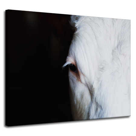 Canvas Print Animals Eye 100x80 cm