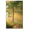 Canvas Print Sunlight Forest Path Nature 60x100 cm