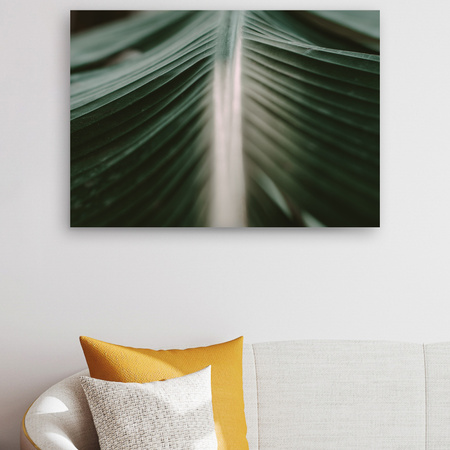 Canvas Print Nature Palm Leaf 90x60