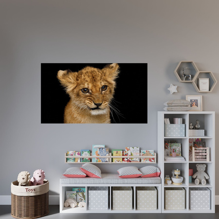 Canvas Print Baby Lion Face Eyes Beauty 100x80 cm