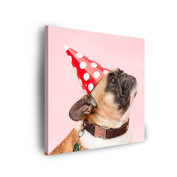 Canvas Print Youth Birthday Pug 90x90