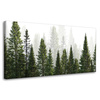 Canvas Print Rain Forest Nature Trees 80x40 cm