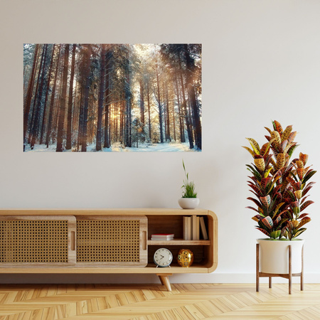 Canvas Print Forest Winter Snow White Nature 120x80 cm