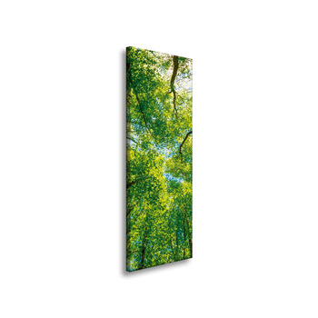 Canvas Print Trees Leaves Nature Forest Spring 40x120 cm