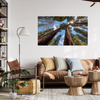 Canvas Print Tall Trees Sky Nature Sun 120x80 cm