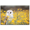 Canvas Print White Owl Flowers Nature Meadow 90x60