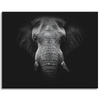 Canvas Print Gray Elephant Face Trunk Tusks 100x80 cm