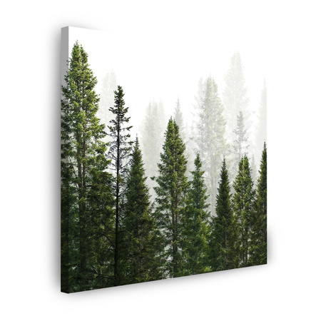 Canvas Print Rain Forest Nature Trees 50X50 cm