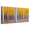 Canvas Print Birch Trees Autumn Yellow Leaves 80x40 cm