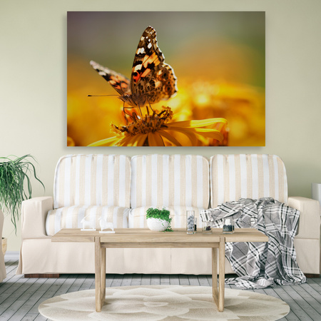 Canvas Print Animals Butterfly on Flower 90x60