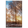 Canvas Print Trees Winter Rising Sun 60x100 cm