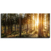 Canvas Print Birch Trees Sun Morning 80x40 cm