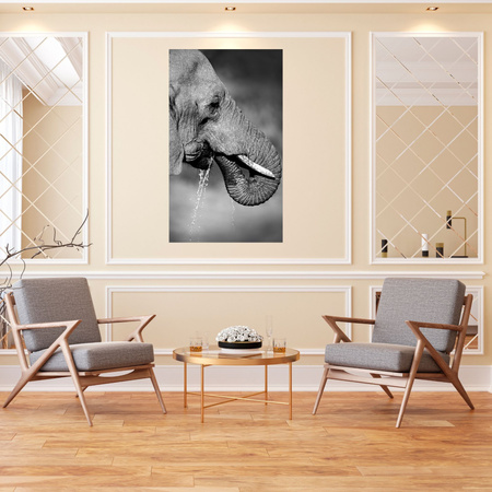 Canvas Print Black and White Elephant Drinking Water 80x120 cm