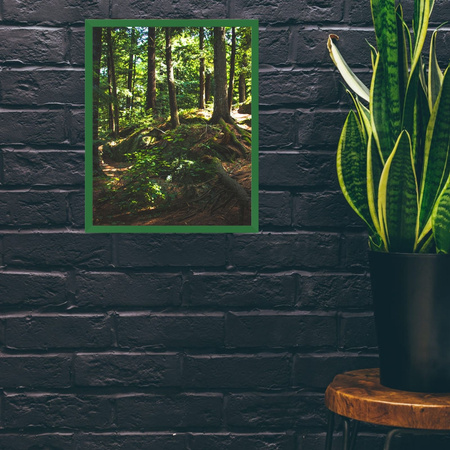 5x Frame Green 40x50, I L13,15,025, Plexiglass