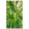 Canvas Print Trees Leaves Nature Forest Spring 70x120 cm