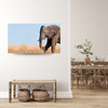 Canvas Print Gray Large Elephant with Trunk Savanna Warmth 100x80 cm