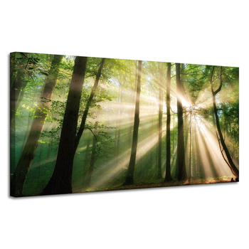 Canvas Print Sun in the Forest Trees Nature 120x60 cm