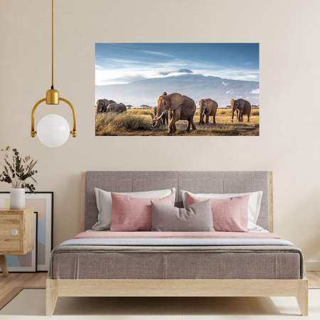 Canvas Print Walking Elephants Mountain Savannah Natural Environment 100x80 cm