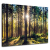 Canvas Print Forest Sun Trees Spring Morning 100x80 cm