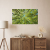 Canvas Print Leaves Trees Green Sun Sky 120x80 cm