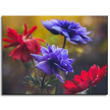 Canvas Print Botany Flowers 40x30 cm