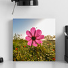 Canvas Print Botanical Pink Flower 40x40 cm