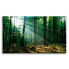 Canvas Print Forest Trees Sun Rays 120x80 cm