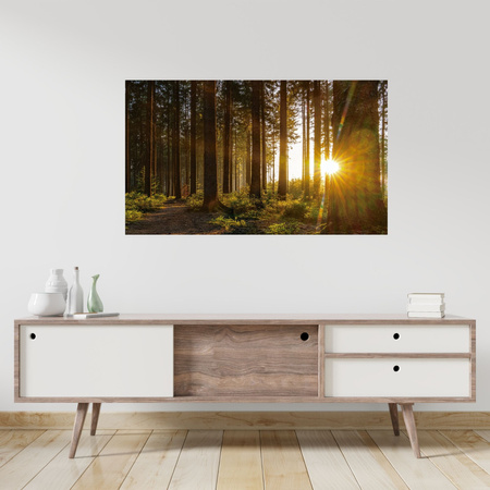 Canvas Print Sunset Forest Trees Nature 120x80 cm