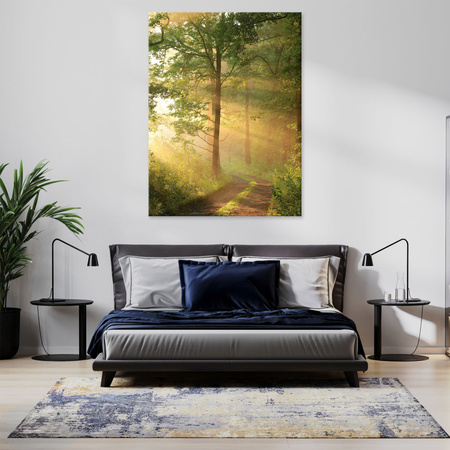 Canvas Print Sunlight Forest Path Nature 30x40 cm