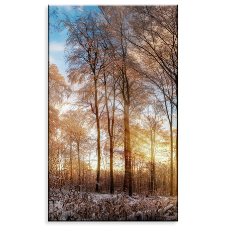 Canvas Print Trees Winter Rising Sun 60x100 cm