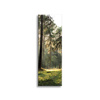 Canvas Print Forest Trees Sun Nature 40x120 cm