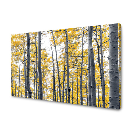 Canvas Print Birches Yellow Leaves Nature Spring 120x80 cm