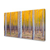 Canvas Print Birches in Autumn Yellow Leaves 120x80 cm