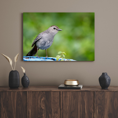 Canvas Print Animals Sitting Bird 100x80 cm