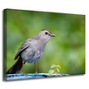 Canvas Print Animals Sitting Bird 40x30 cm