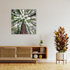 Canvas Print Trees Sky Nature Nature Art 90X90 cm
