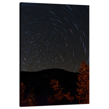 Canvas Print Nature Forest Night Mountains Abstract Trees 80x120