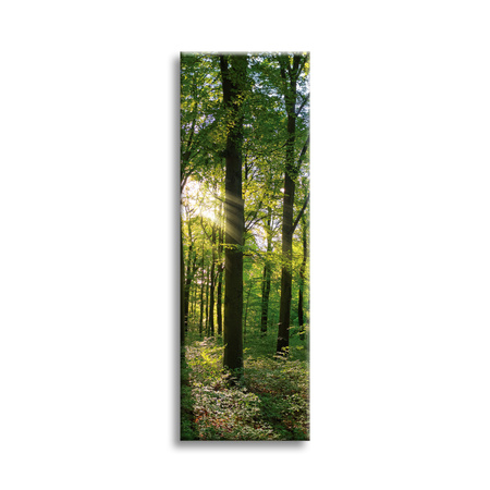 Canvas Print Sun Forest Trees Rays of Light 40x120 cm