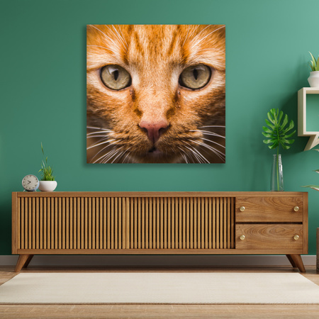 Canvas Print Cat Face Close Up 90x90